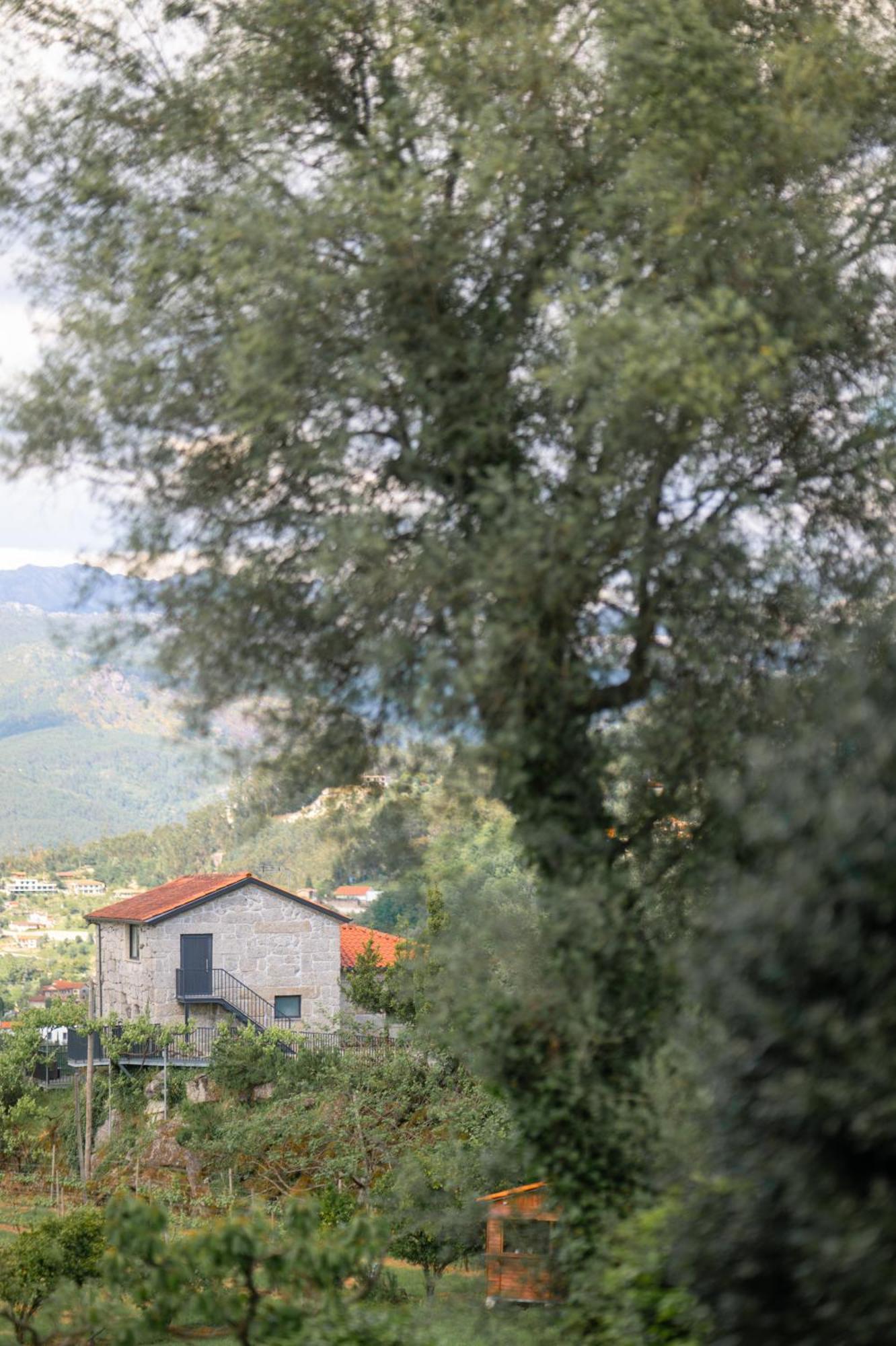 Quinta De Calvelos Vieira do Minho Luaran gambar