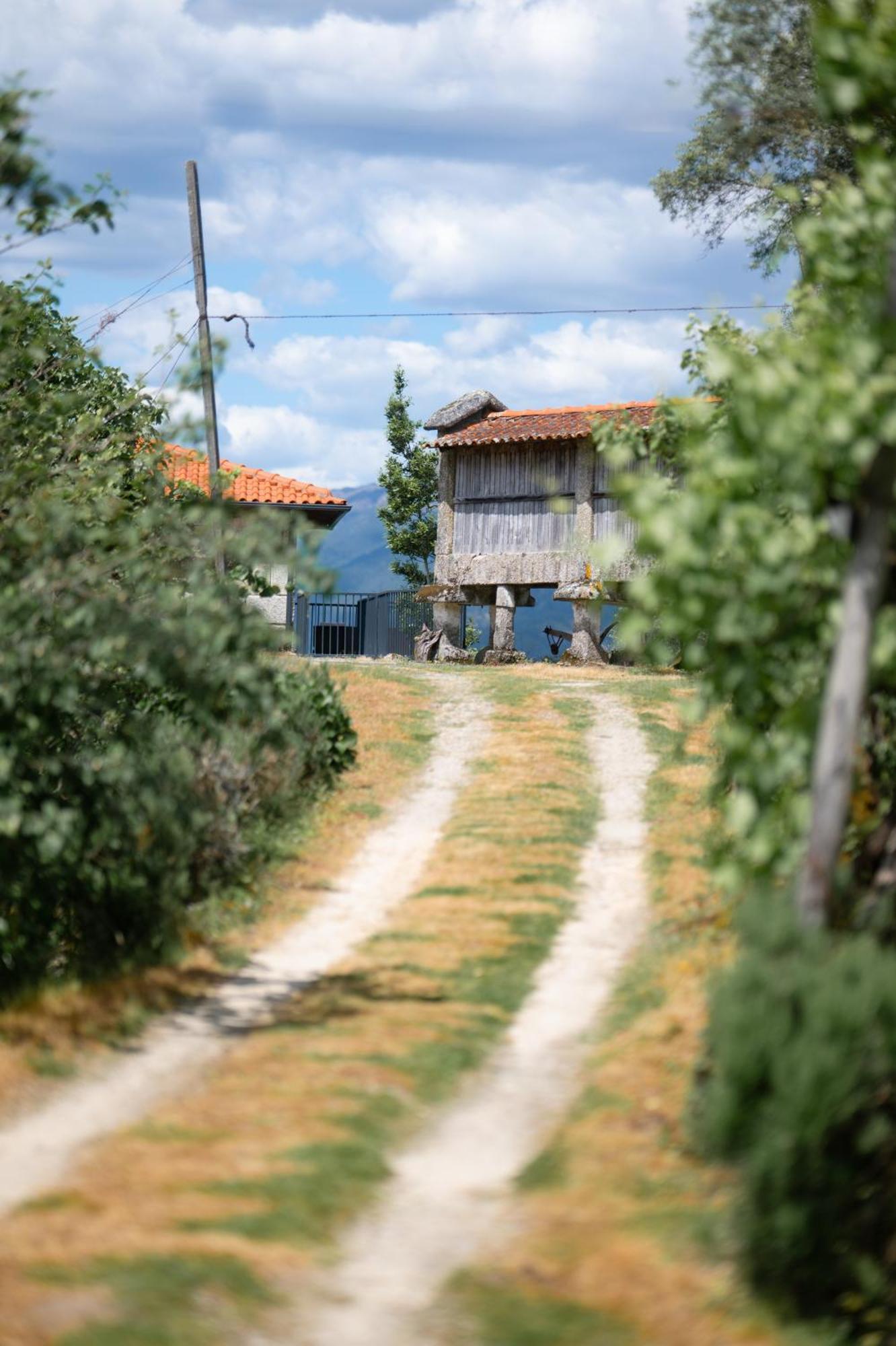 Quinta De Calvelos Vieira do Minho Luaran gambar