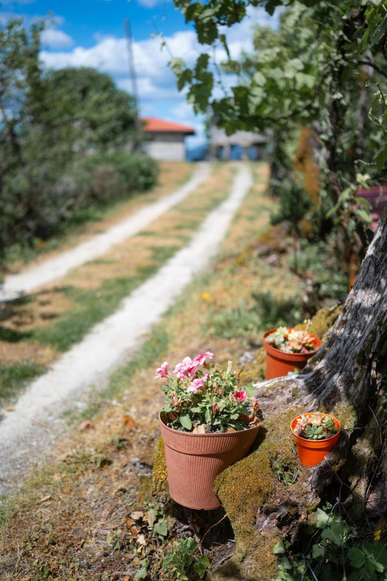 Quinta De Calvelos Vieira do Minho Luaran gambar