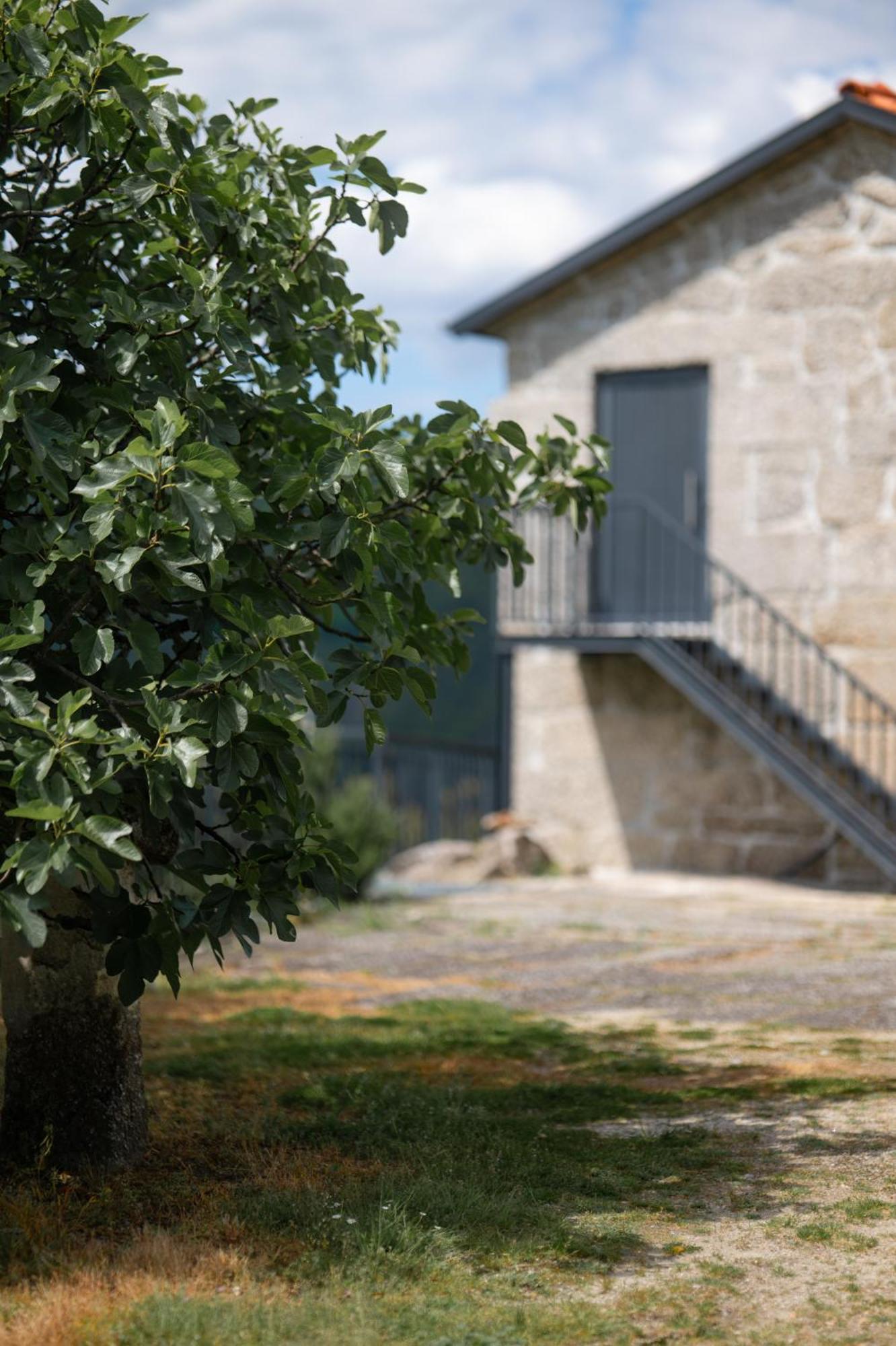 Quinta De Calvelos Vieira do Minho Luaran gambar